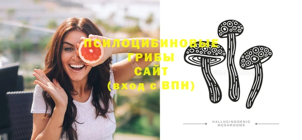 ECSTASY Покачи