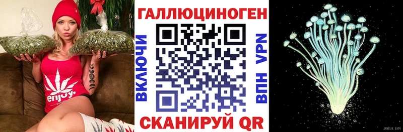 Купить закладки  Энем  Псилоцибиновые грибы GOLDEN TEACHER 